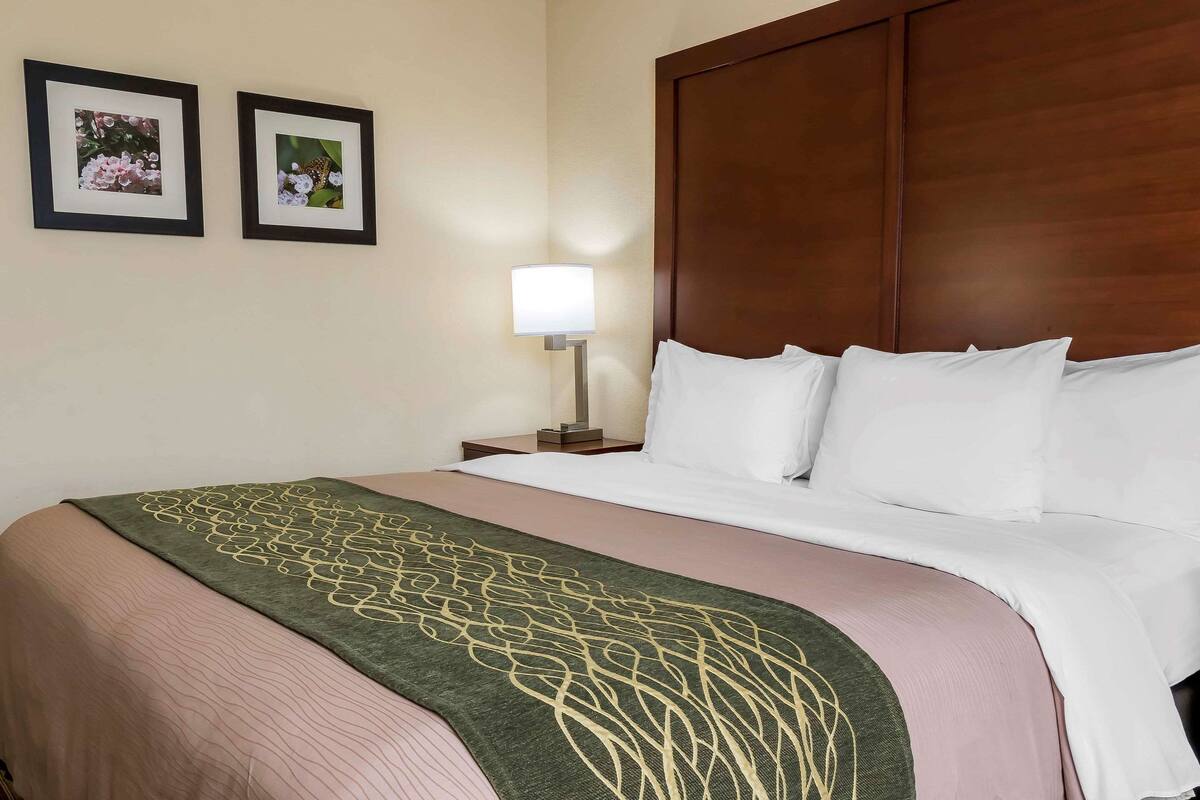 Una cama bien hecha con sábanas blancas, un plaid verde estampado y un cabecero de madera. Hay dos cuadros en la pared y una lámpara de noche.