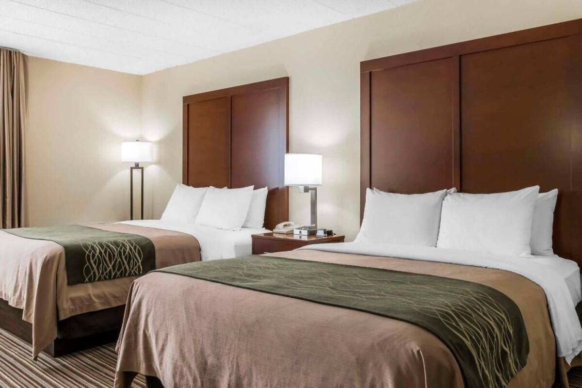 Habitación de hotel con dos camas, cada una con cabecero, mesitas de noche con lámparas y piso alfombrado.