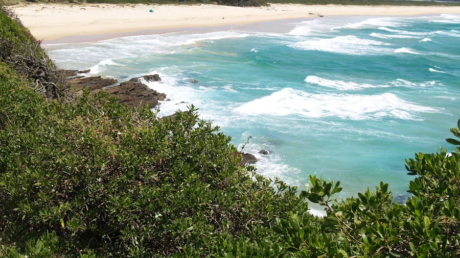 Pigeon House Motor Inn