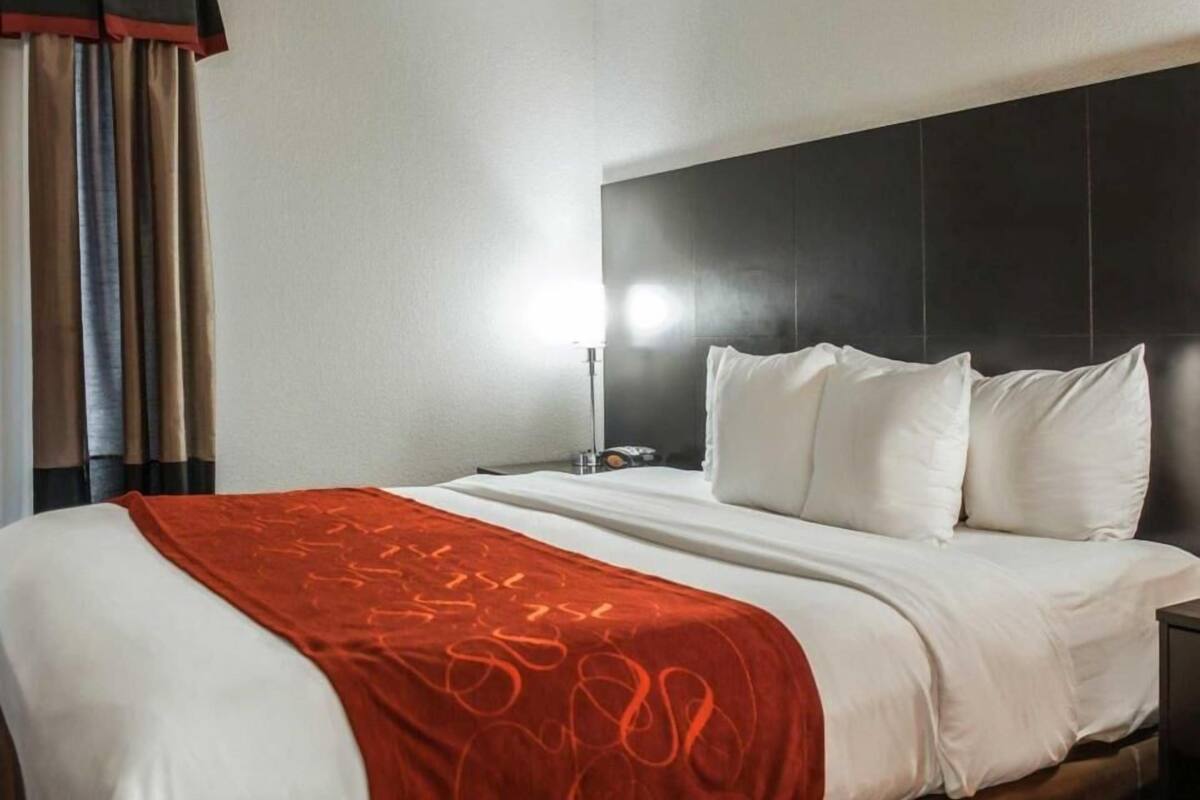 A hotel room with a bed, a nightstand, a lamp, and a window with curtains.