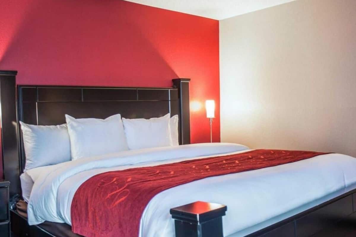 A hotel room with a bed, a nightstand, a red wall, and a wall-mounted lamp.