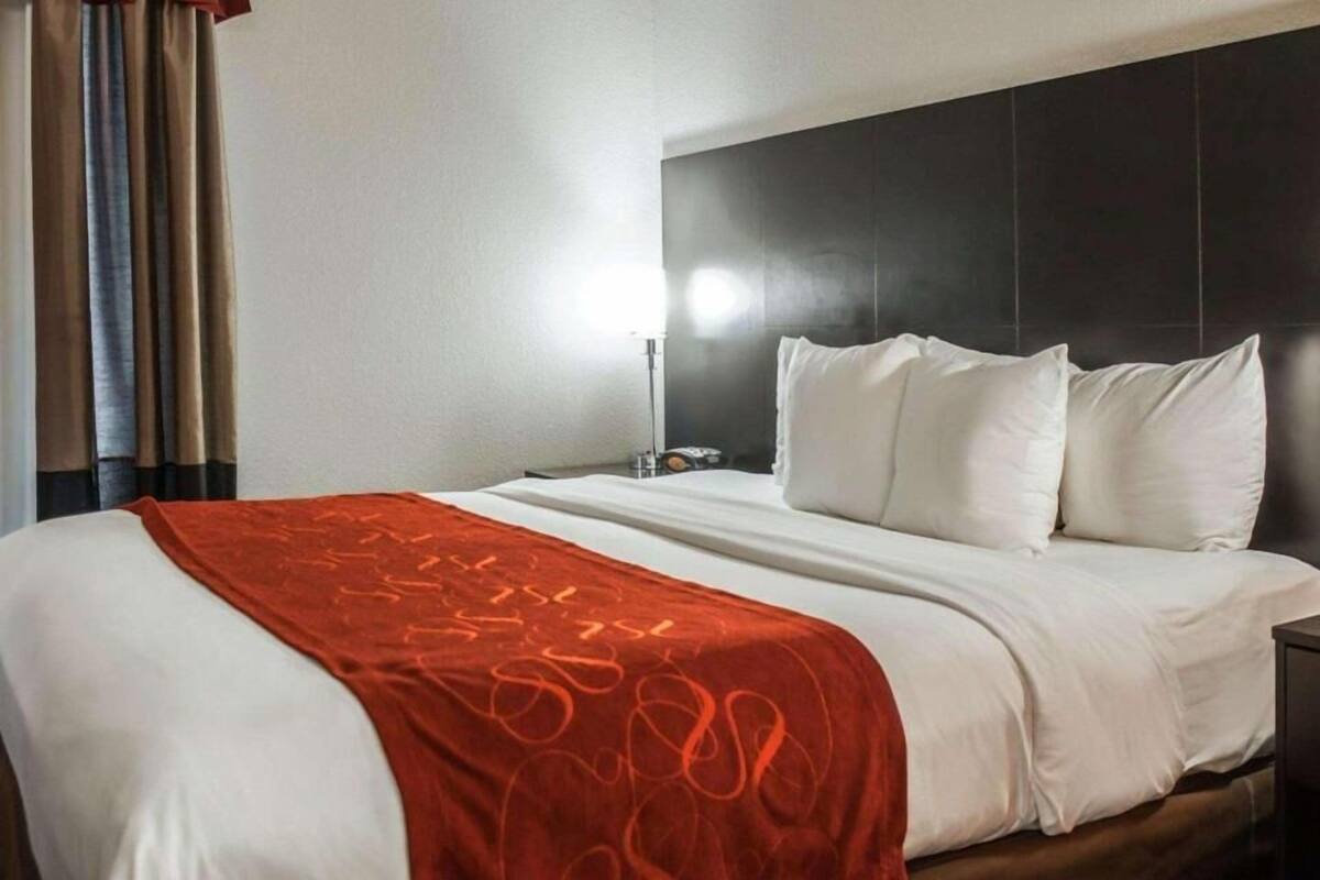 A hotel room with a bed, a nightstand, a lamp, and a window with curtains.