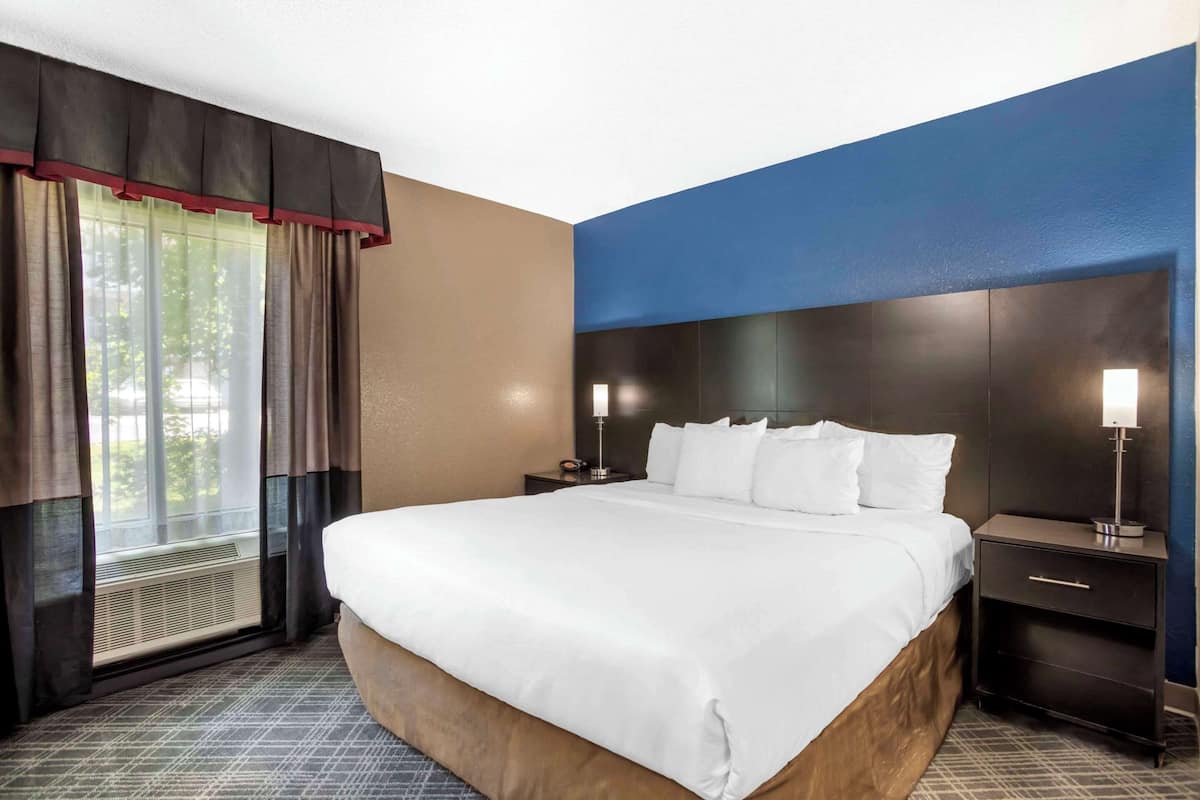 A hotel room with a large bed, a bedside table with a lamp, a window with curtains, and a wall with a blue accent.