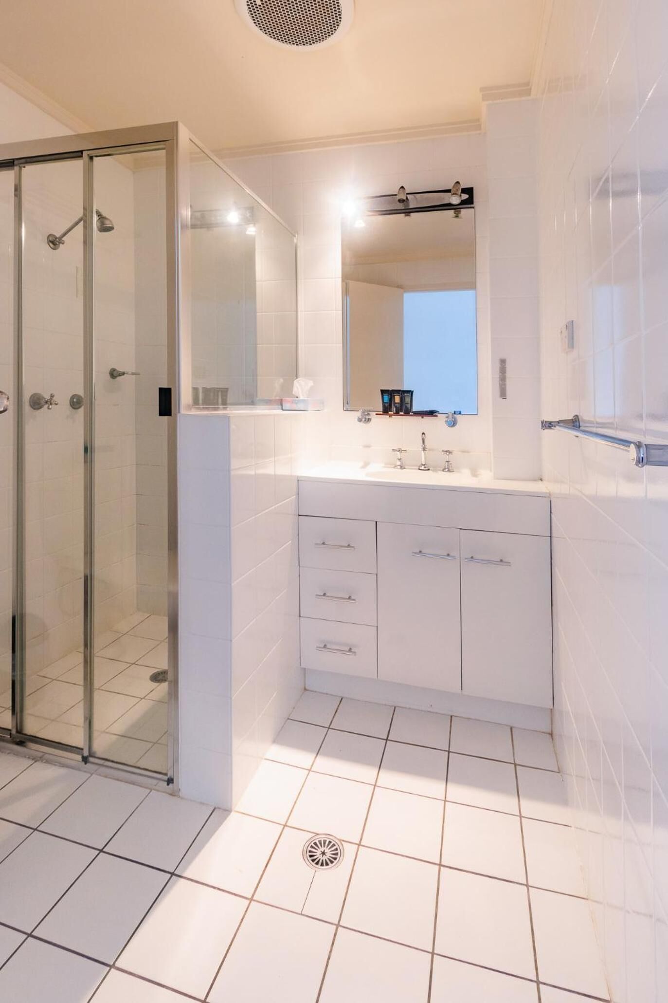 Shower, hair dryer, towels