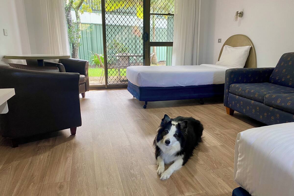 Um quarto aconchegante com uma cama, um sofá e uma poltrona. Um cão está deitado no chão.