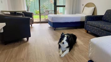 Deluxe Double or Twin Room (Pet Friendly)