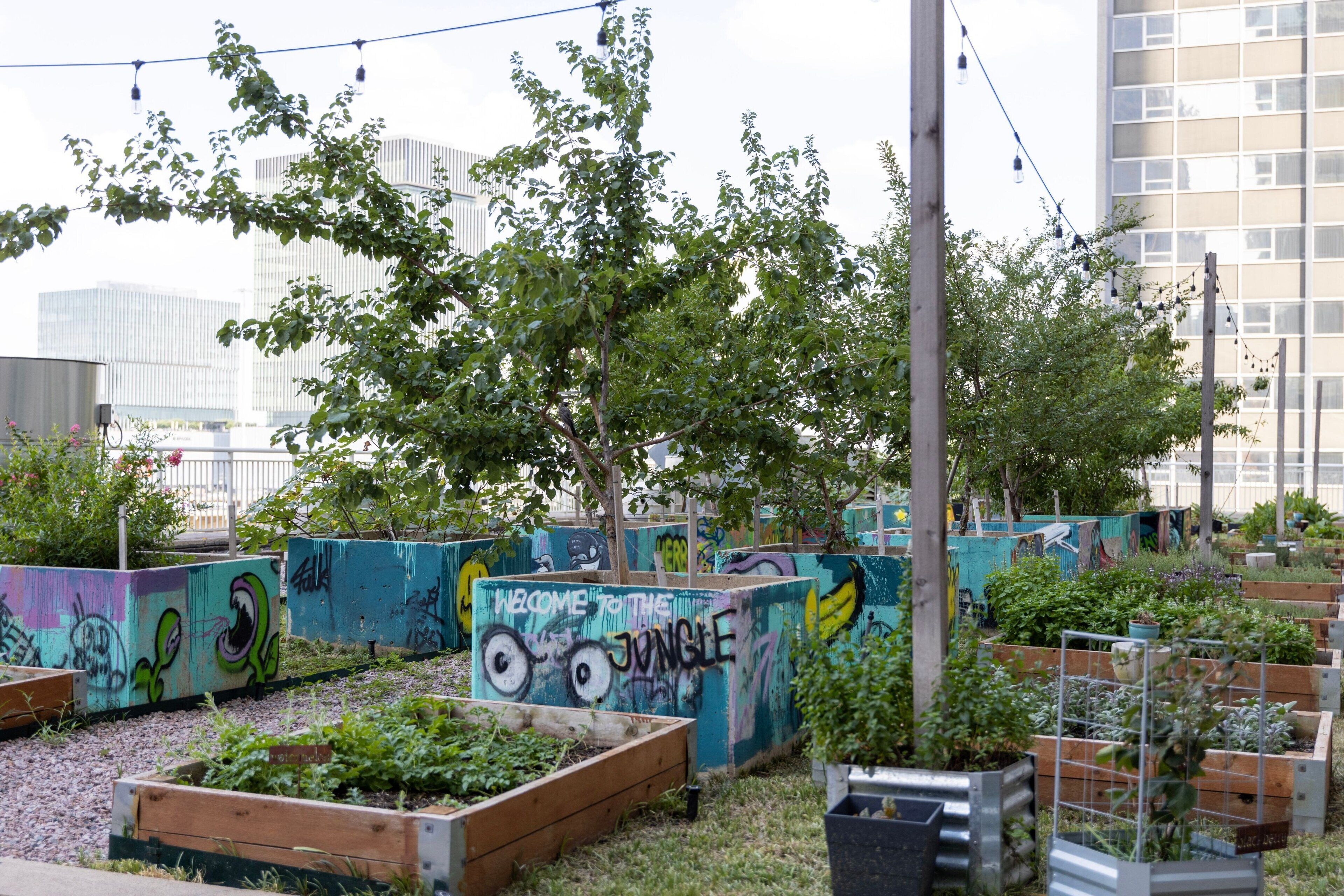 Photo - Sheraton Dallas Hotel
