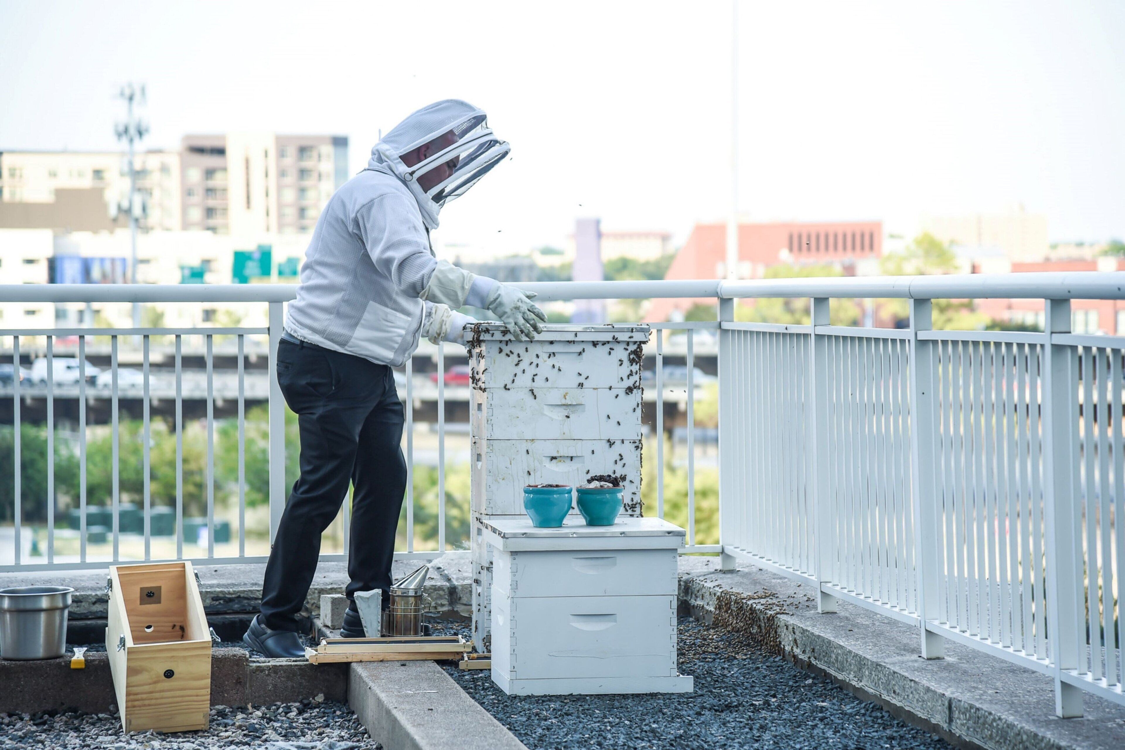 A person in protective gear working with a beehive on a rooftop.