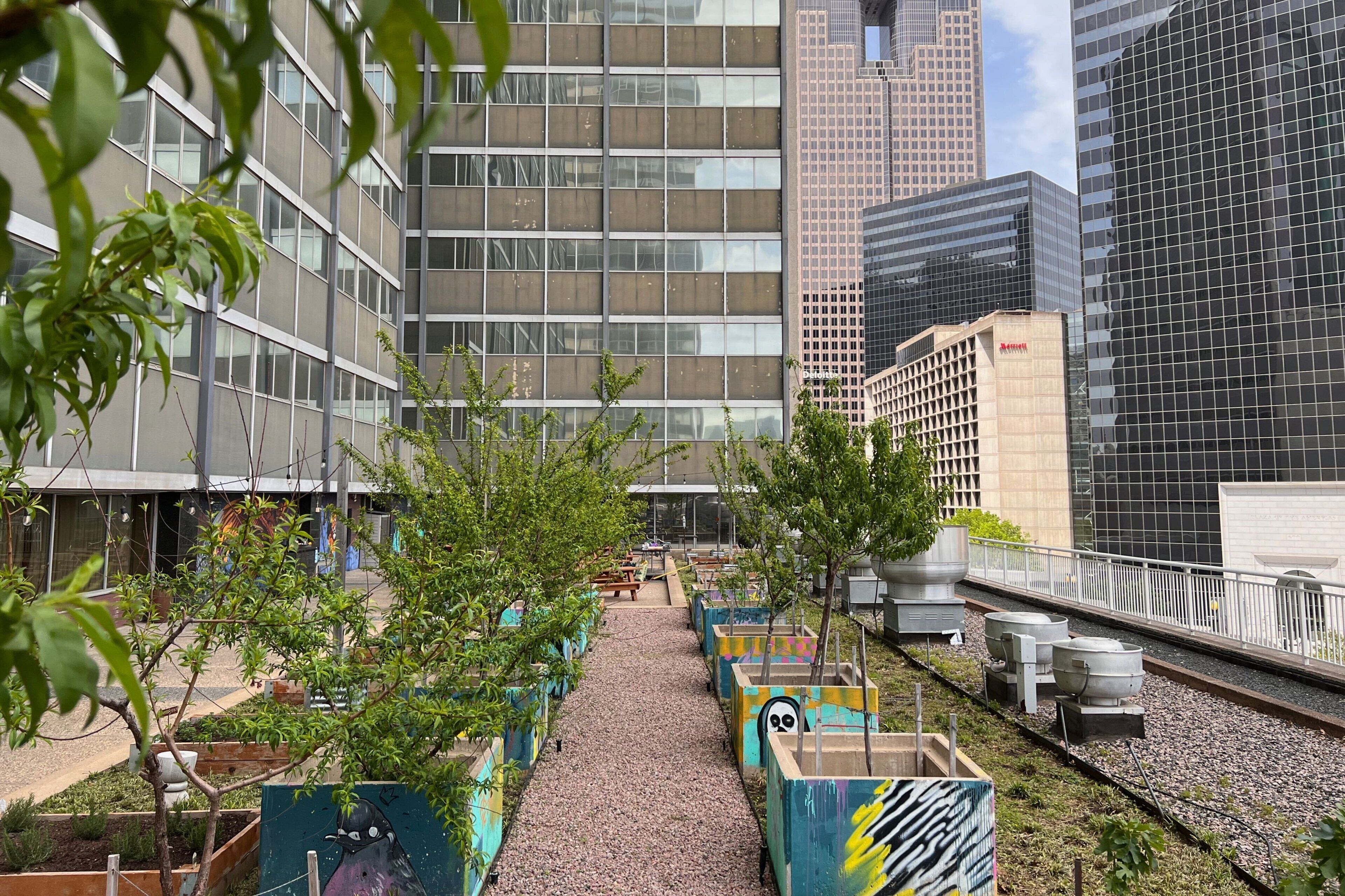 Photo - Sheraton Dallas Hotel