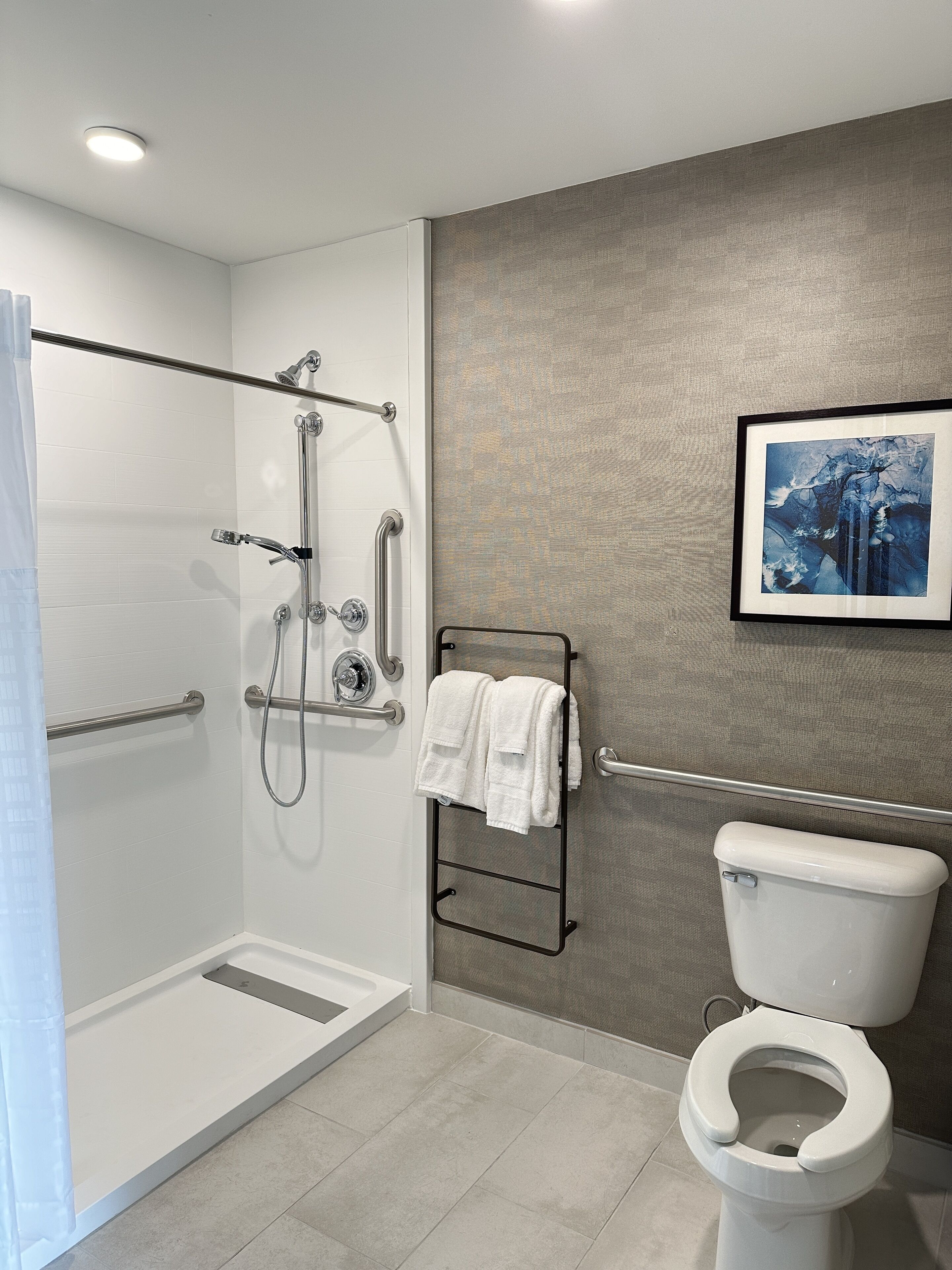 Une salle de bain moderne avec une douche à l’italienne, des barres d’appui, des toilettes et un tableau encadré au mur.