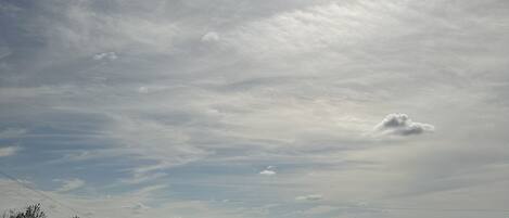 Una carretera con una curva, palmeras y cielo despejado.