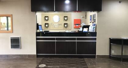 Comfort Inn Columbia - Bush River
