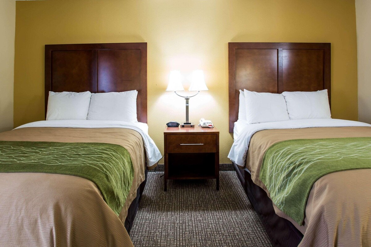 A hotel room with two beds, a nightstand with a lamp, and a carpeted floor.