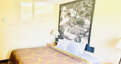 Super 8 by Wyndham New Castle