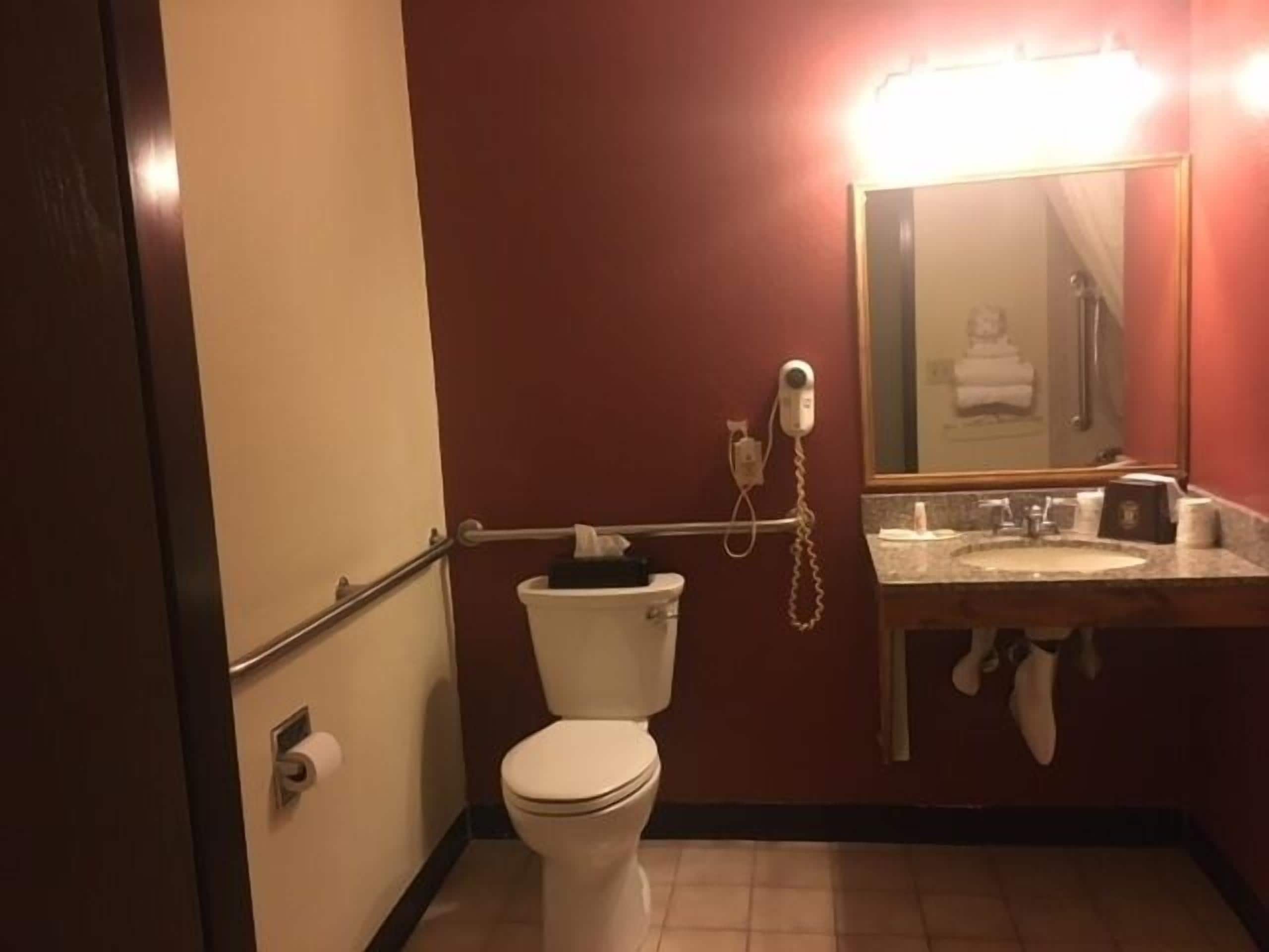 Standard Room, 1 Queen Bed, Accessible, Non Smoking (Mobility) | Desk, blackout drapes, iron/ironing board, free cribs/infant beds