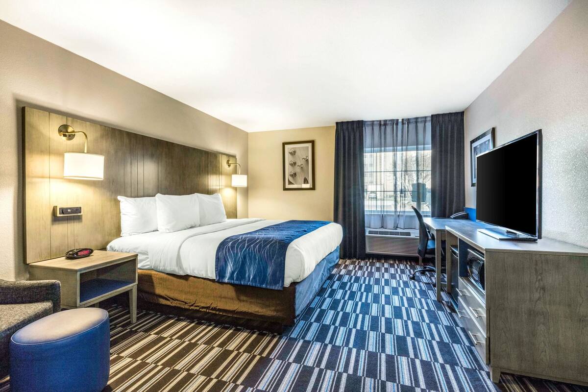 suite king non smoking sofabed | pillow-top beds, desk, blackout curtains, iron/ironing board