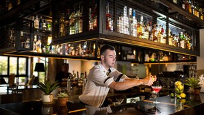 A bartender at a bar with shelves of bottles and a potted plant on the counter. - Atura Albury (Albury)