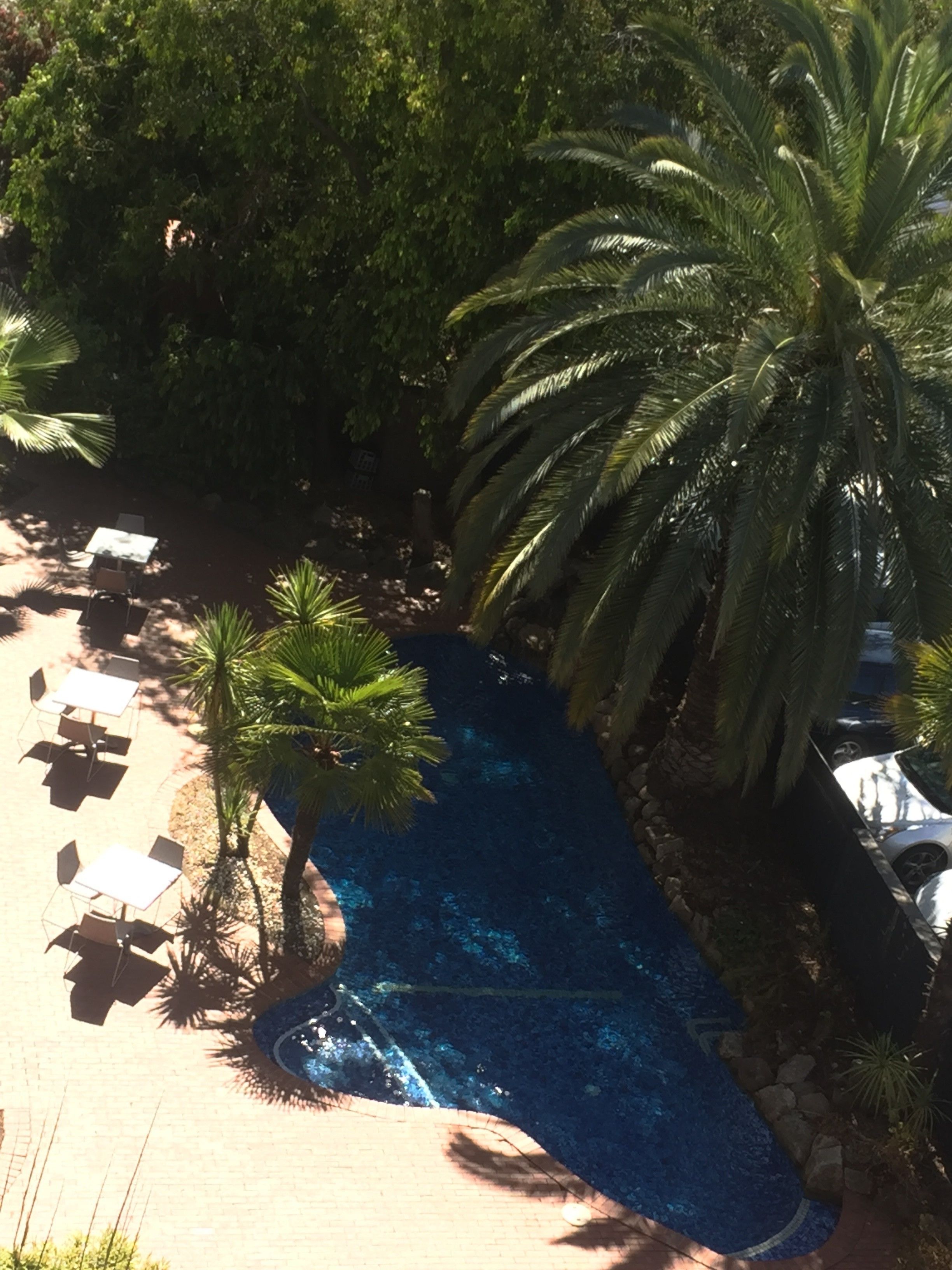 Una piscina al aire libre rodeada de palmeras y sillas de descanso.