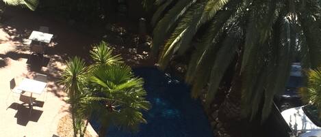 Una piscina al aire libre rodeada de palmeras y sillas de descanso.