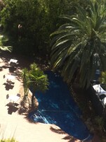 Una piscina al aire libre rodeada de palmeras y sillas de descanso.