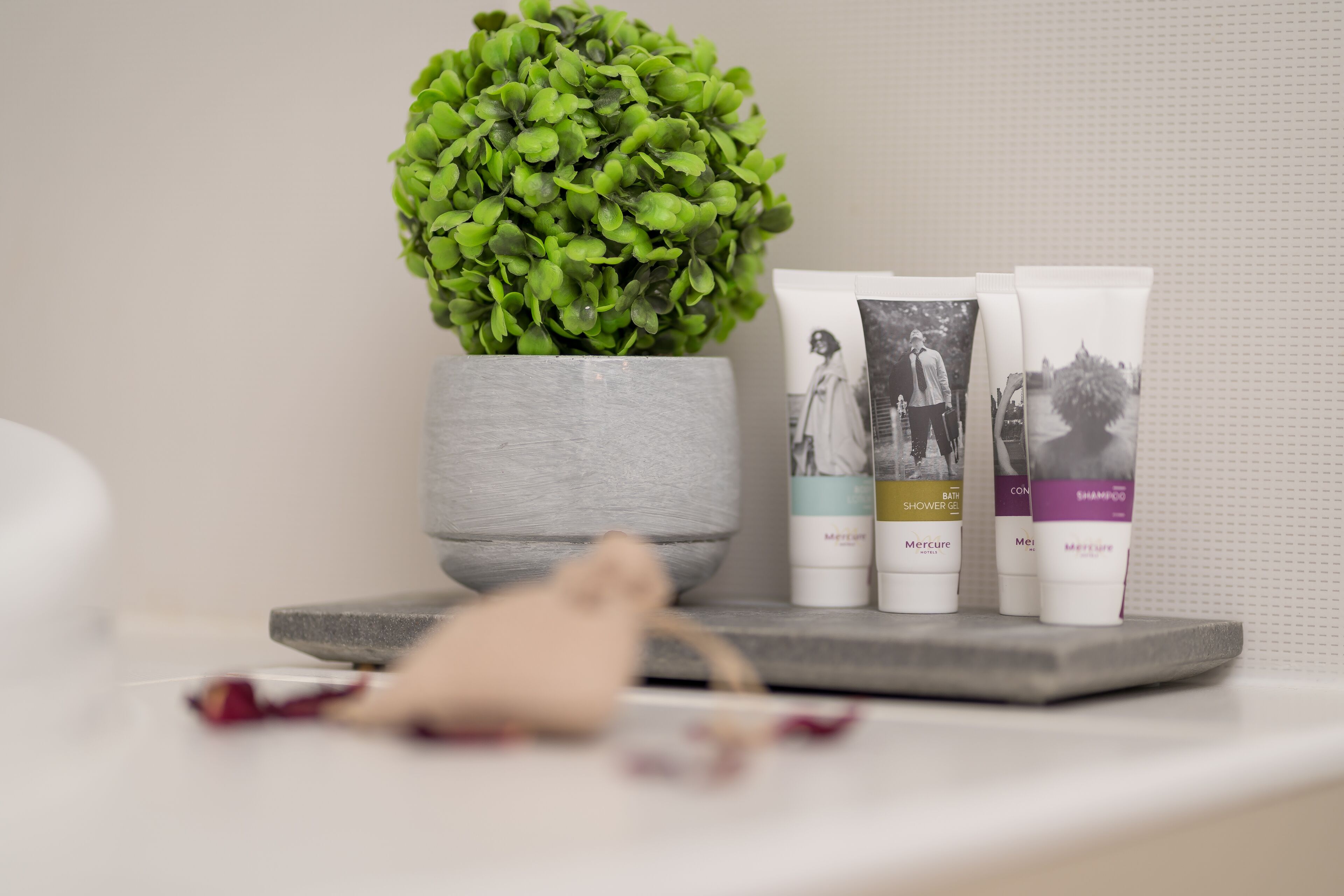 Un baño con pared gris, una planta verde en maceta y tres botes de champú y acondicionador.