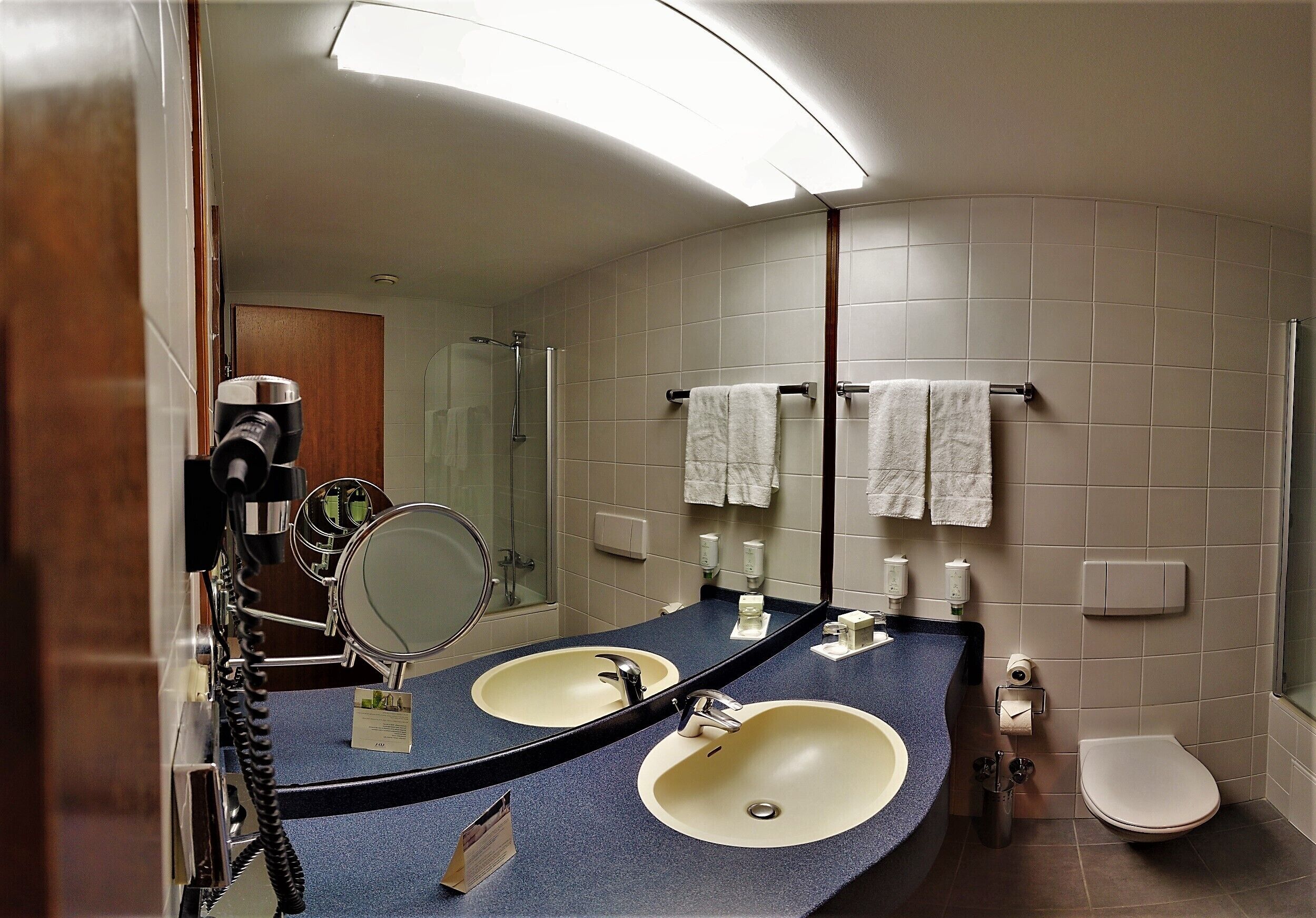 Ein Badezimmer mit zwei Waschbecken, einem Spiegel, einer Toilette und einer Dusche.