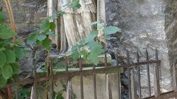 Una estatua de piedra de una figura con una túnica, rodeada de follaje y una cerca metálica.