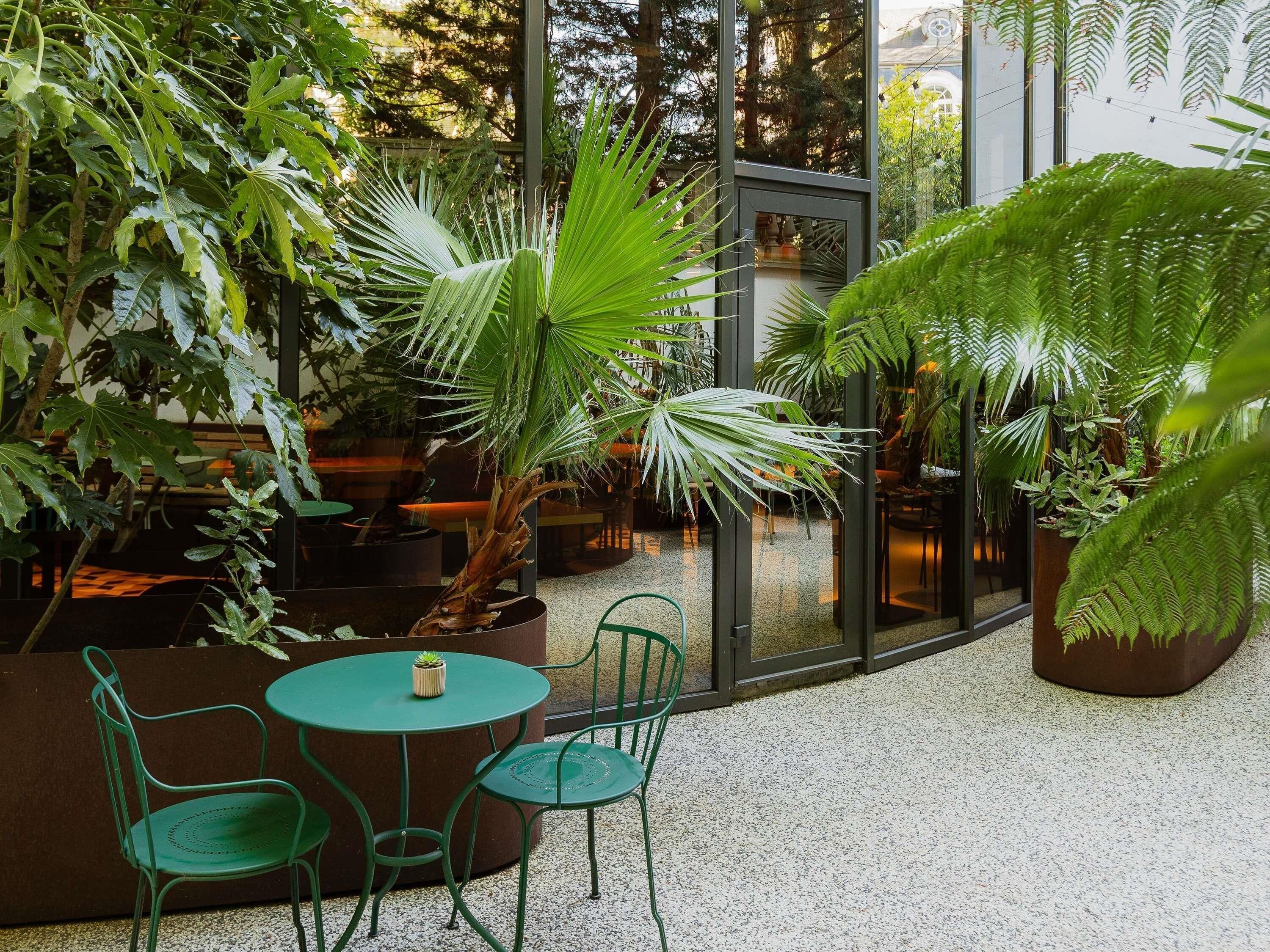 En indendørs have med siddepladser, store vinduer og mange planter.