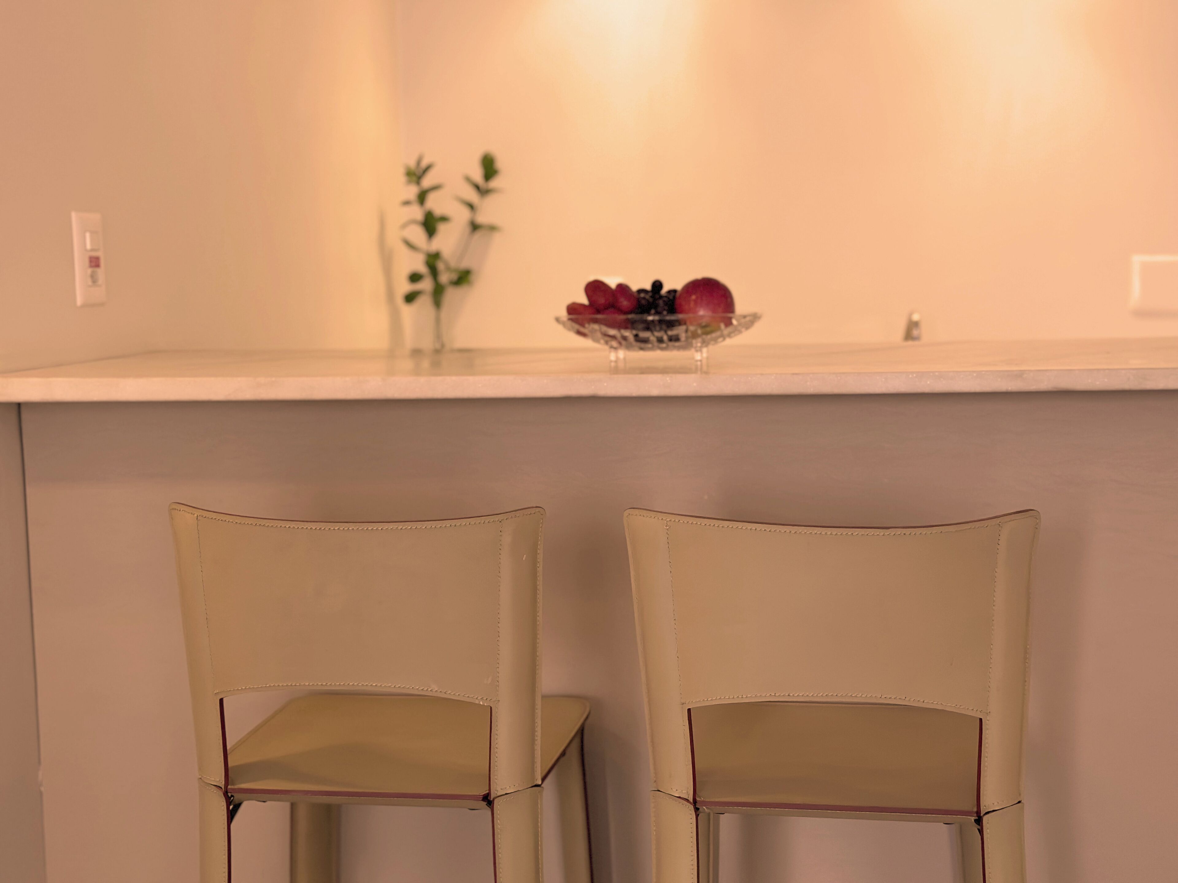 A kitchen with a white countertop, two beige chairs, a vase with green plants, and a bowl of fruit.