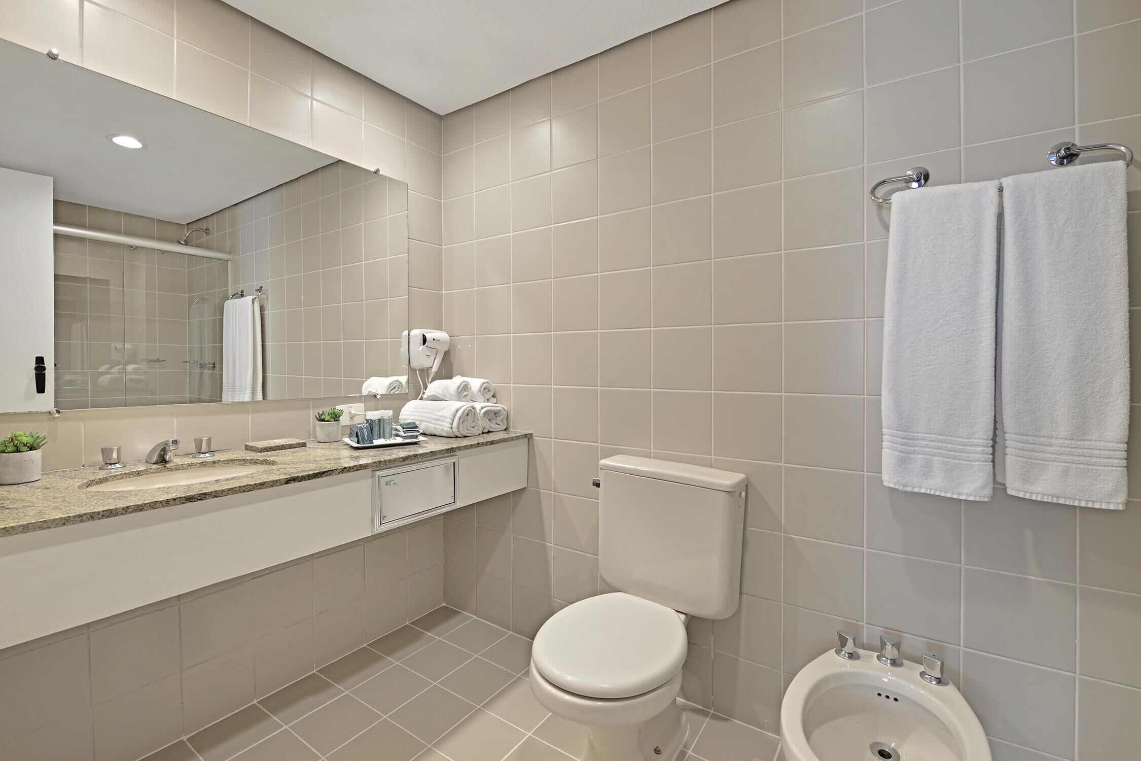 shower, free toiletries, hair dryer, towels