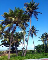 En la playa, arena blanca, toallas de playa