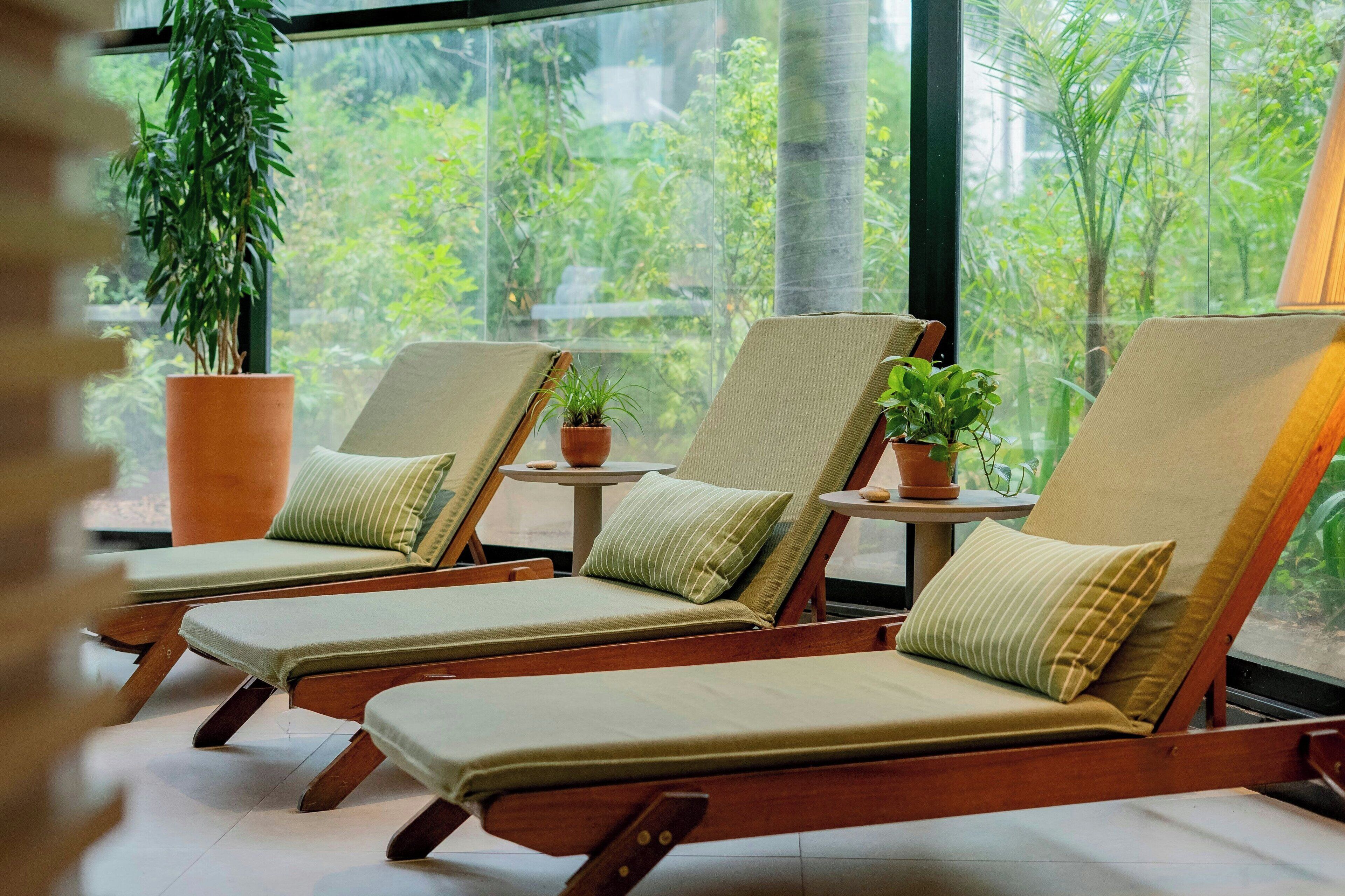 A room with three wooden lounge chairs with cushions, a potted plant, and a view of greenery through large windows.