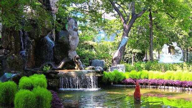 Un jardin paisible avec un étang, une végétation luxuriante et une cascade.