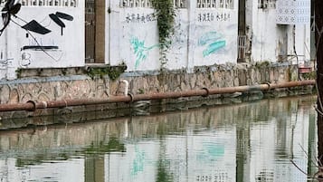 Un edificio con grafitis y un cuerpo de agua en primer plano.