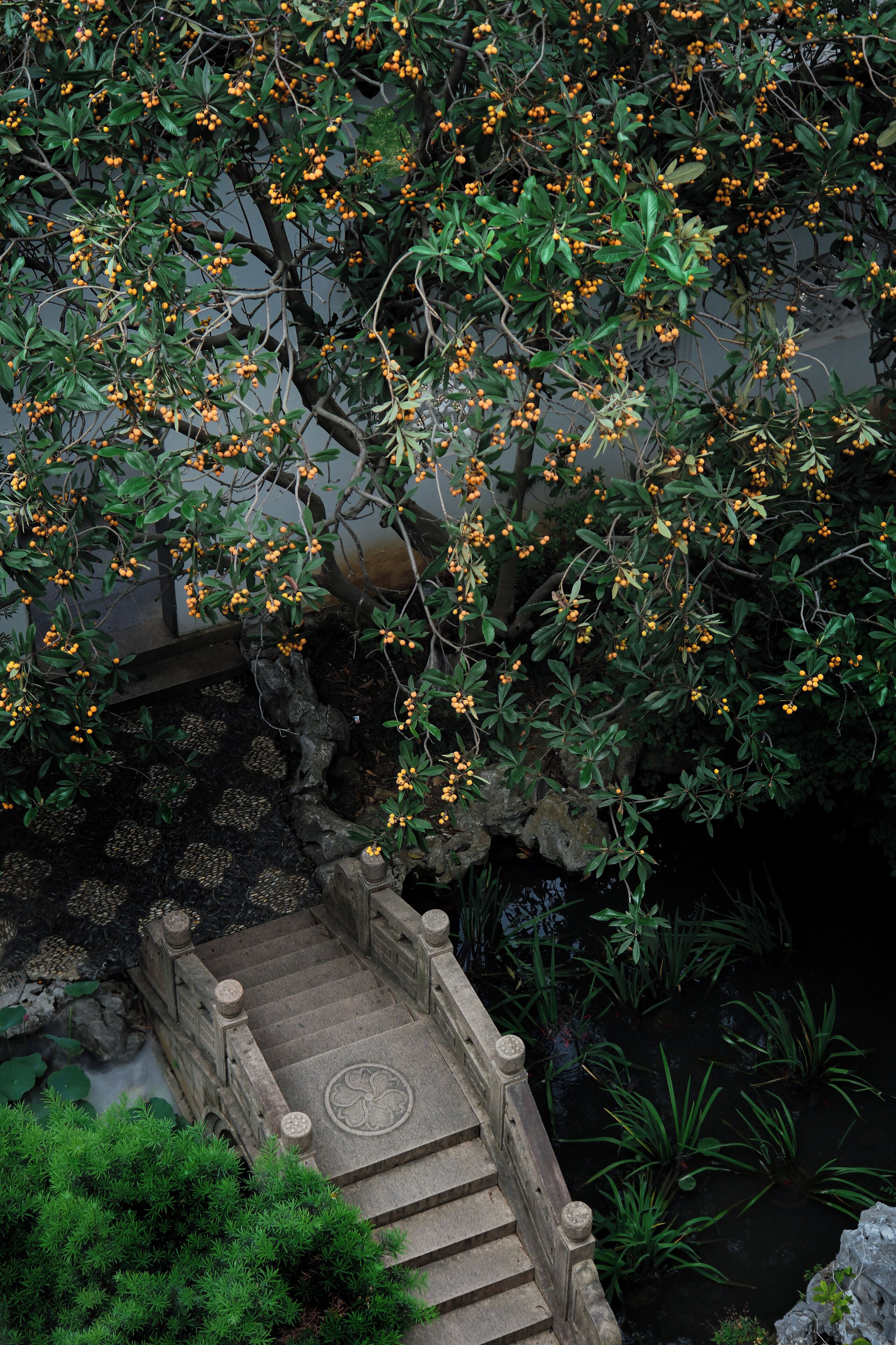 A stone bridge with a decorative pattern leading over a pond, surrounded by lush greenery and orange berries.