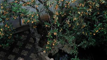 A stone bridge with a decorative pattern leading over a pond, surrounded by lush greenery and orange berries.