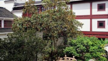 Un patio tradicional con un puente de piedra, abundante vegetación y arquitectura clásica.