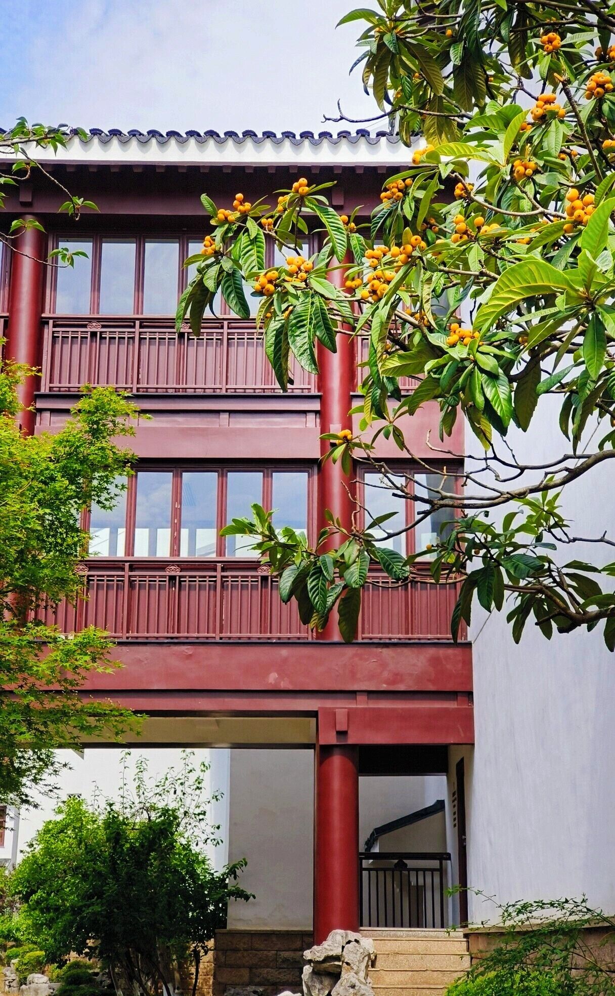A two-story building with balconies and a tree with yellow fruits in front.