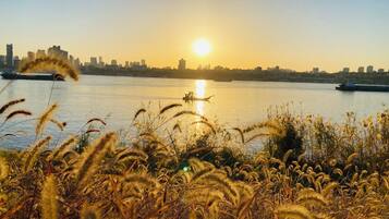 Atardecer sobre un río con barcos, un horizonte urbano al fondo y vegetación en primer plano.