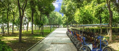 Una hilera de bicicletas estacionadas a lo largo de un sendero bordeado de árboles en un parque.