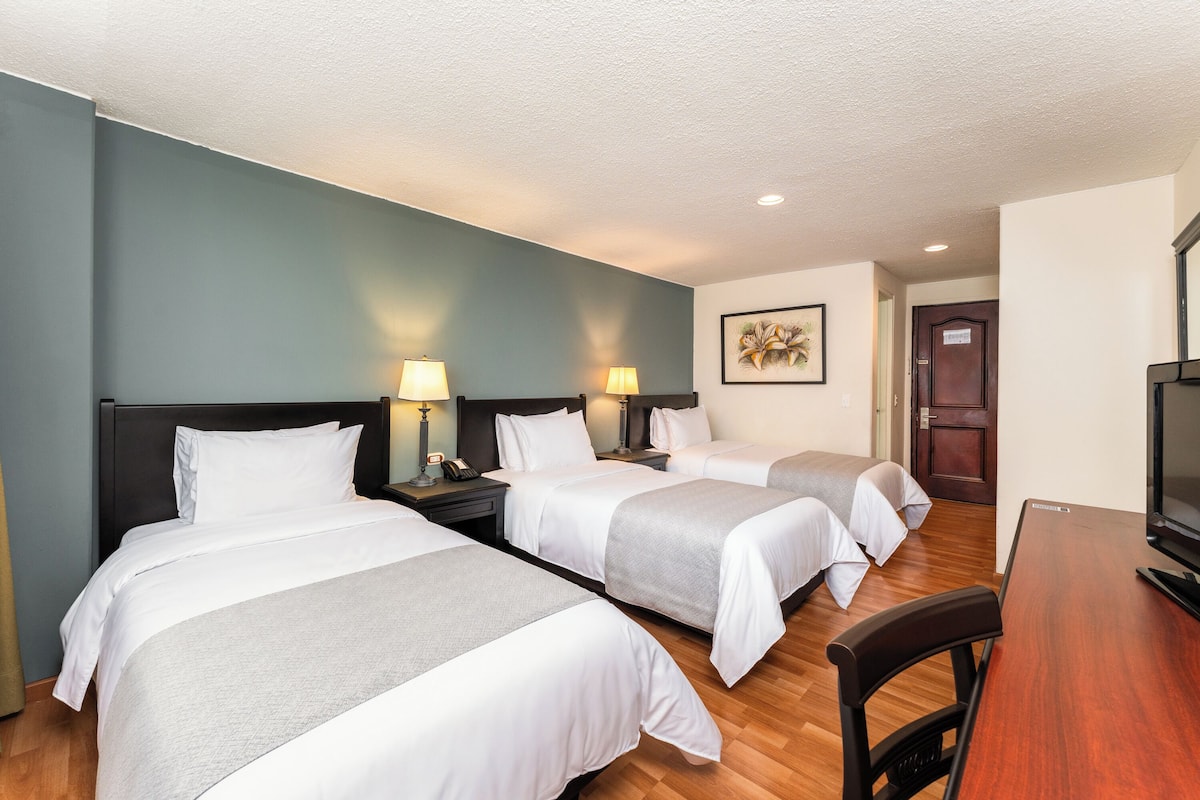 Habitación triple estándar | Ropa de cama de alta calidad y caja de seguridad en la habitación