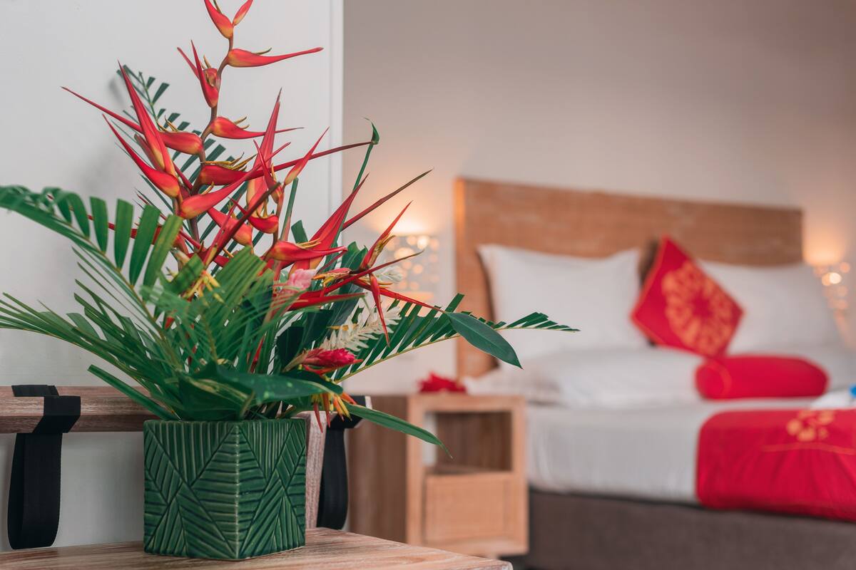 A hotel room with a bed, a nightstand, and a potted plant with red flowers.