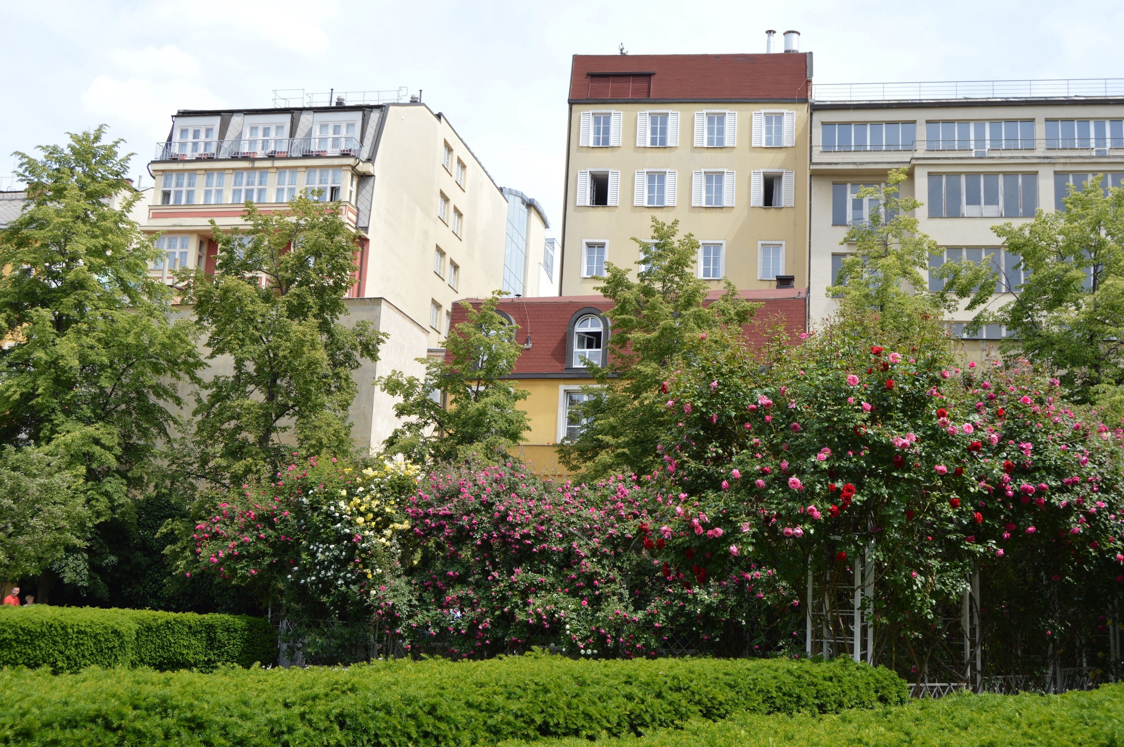 A row of multi-story buildings with balconies, surrounded by well-maintained hedges and flowering trees.
