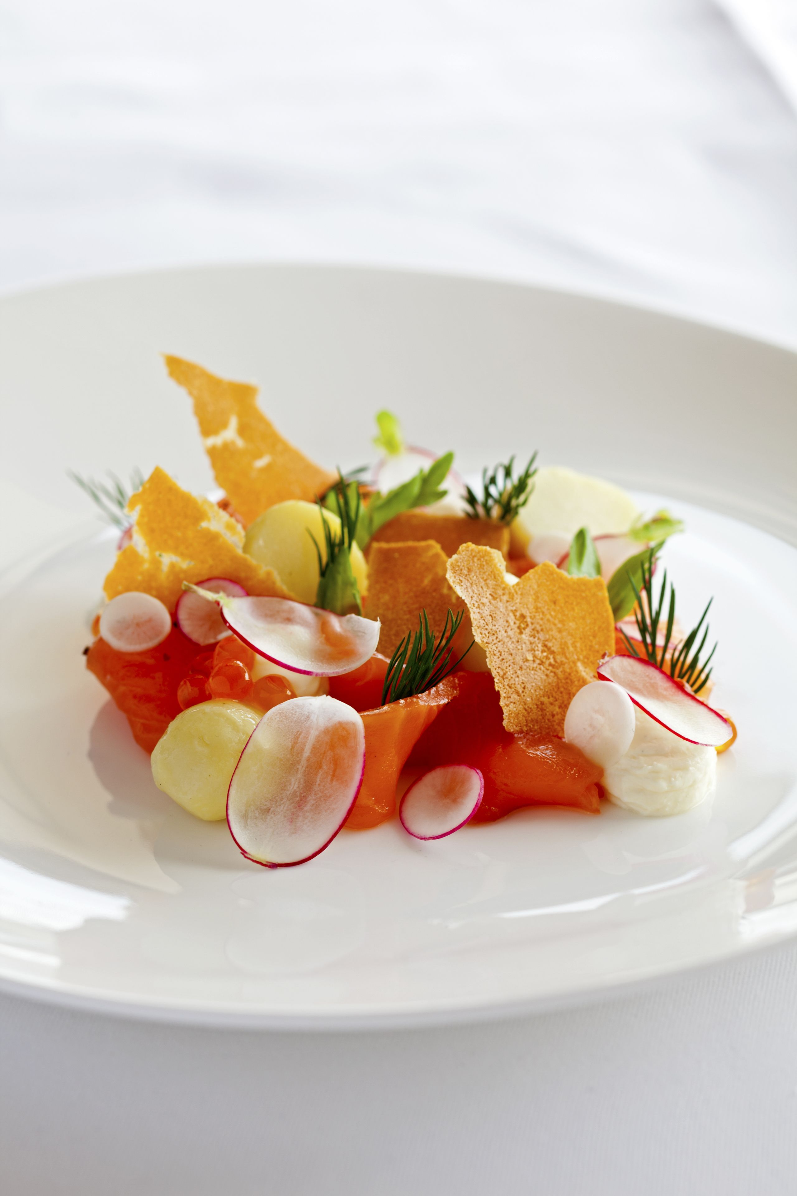 Un plato blanco con un guiso de salmón, rábanos y hierbas aromáticas.