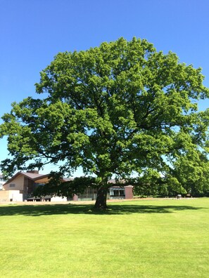 Randonnée