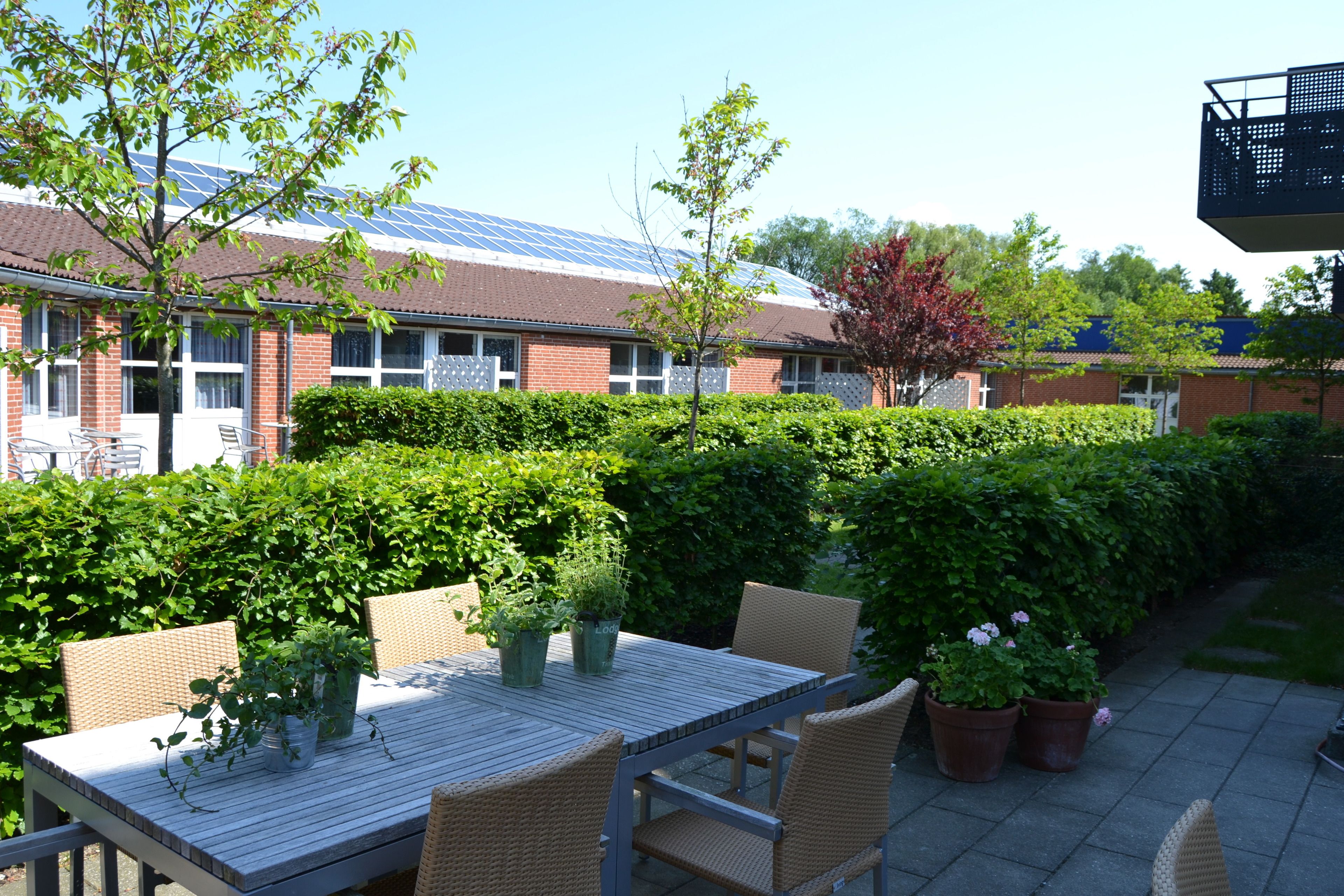 Un espace extérieur aménagé en terrasse, avec une table et des chaises, entouré de verdure et bordé d’un bâtiment équipé de panneaux solaires.