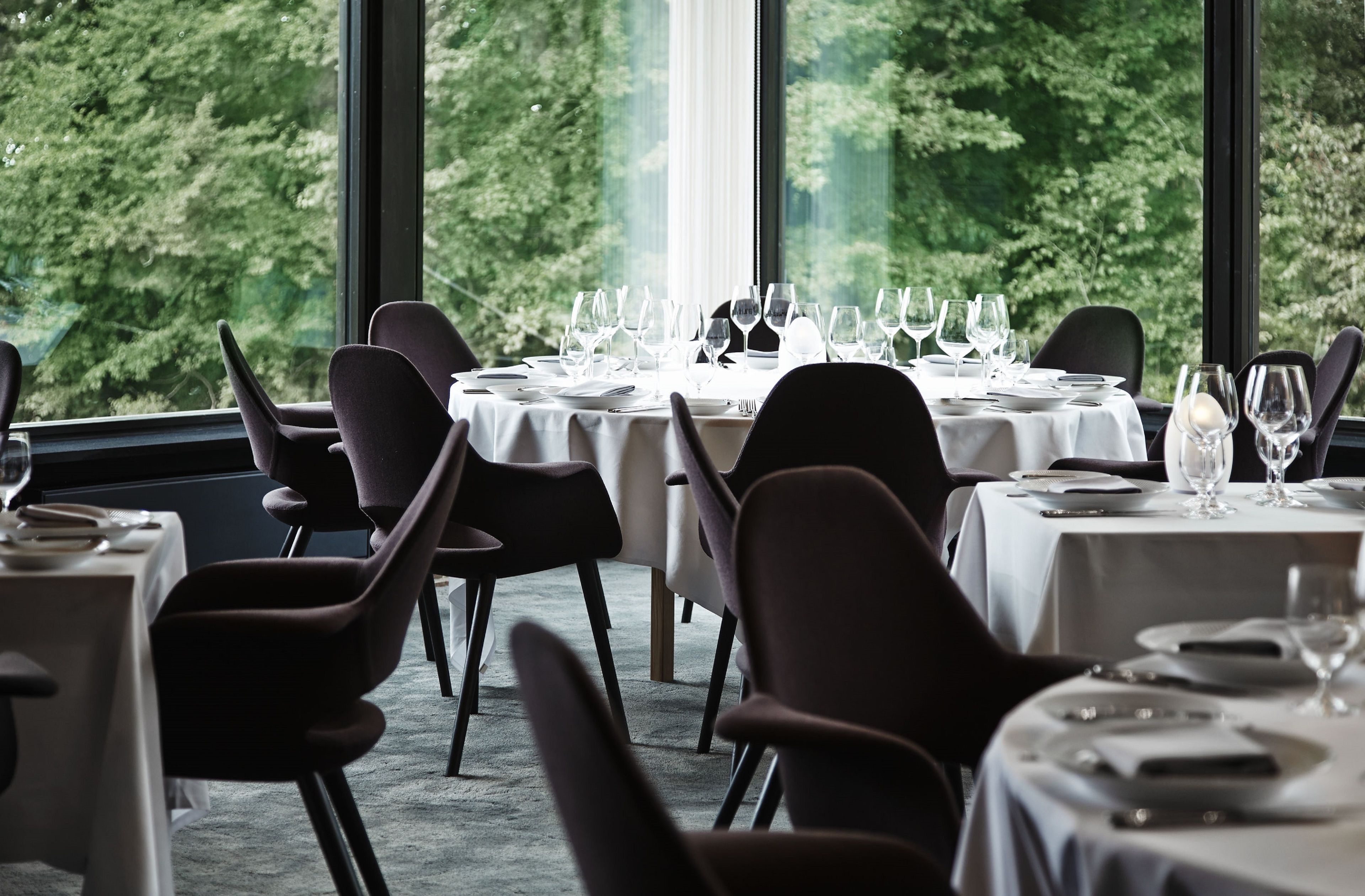 A dining area with tables set for a meal, large windows with a view of trees, and modern chairs.