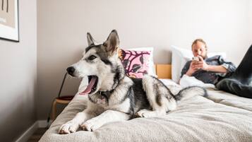 A dog lying on a bed with a person in the background.
