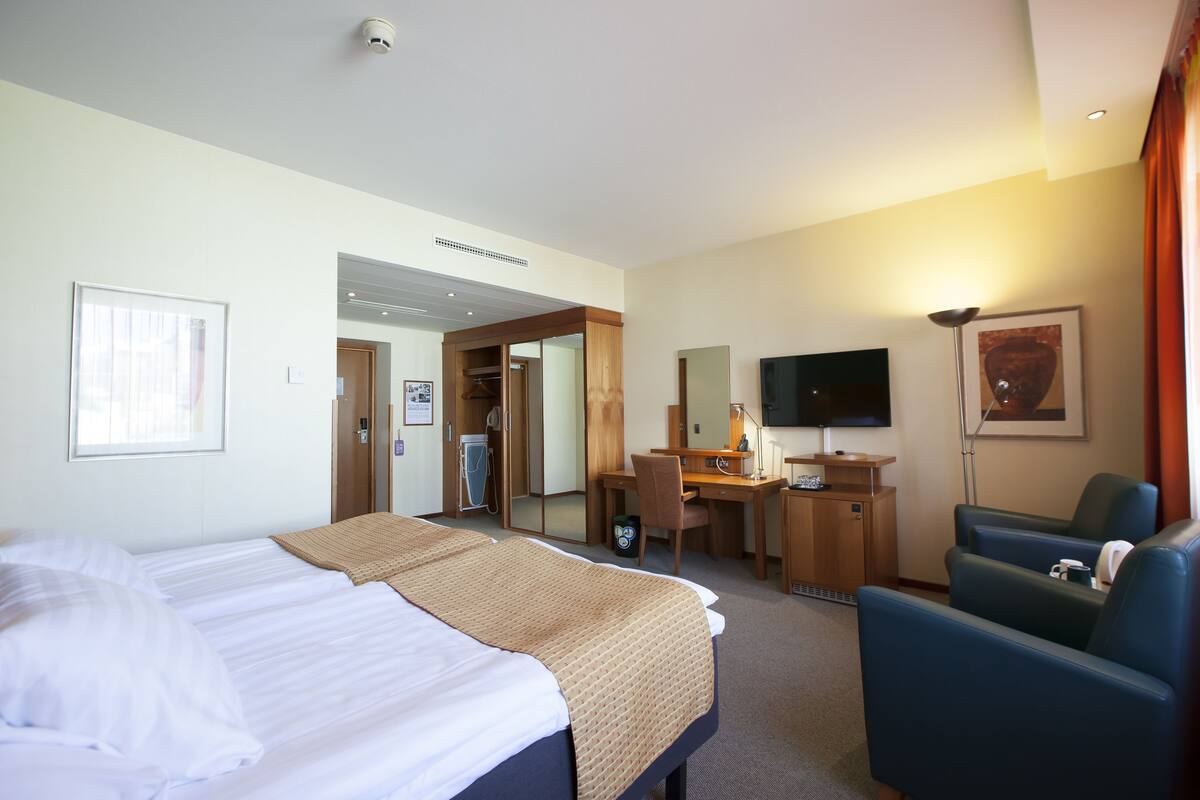 A hotel room with a bed, desk, chair, TV, and a mirror.