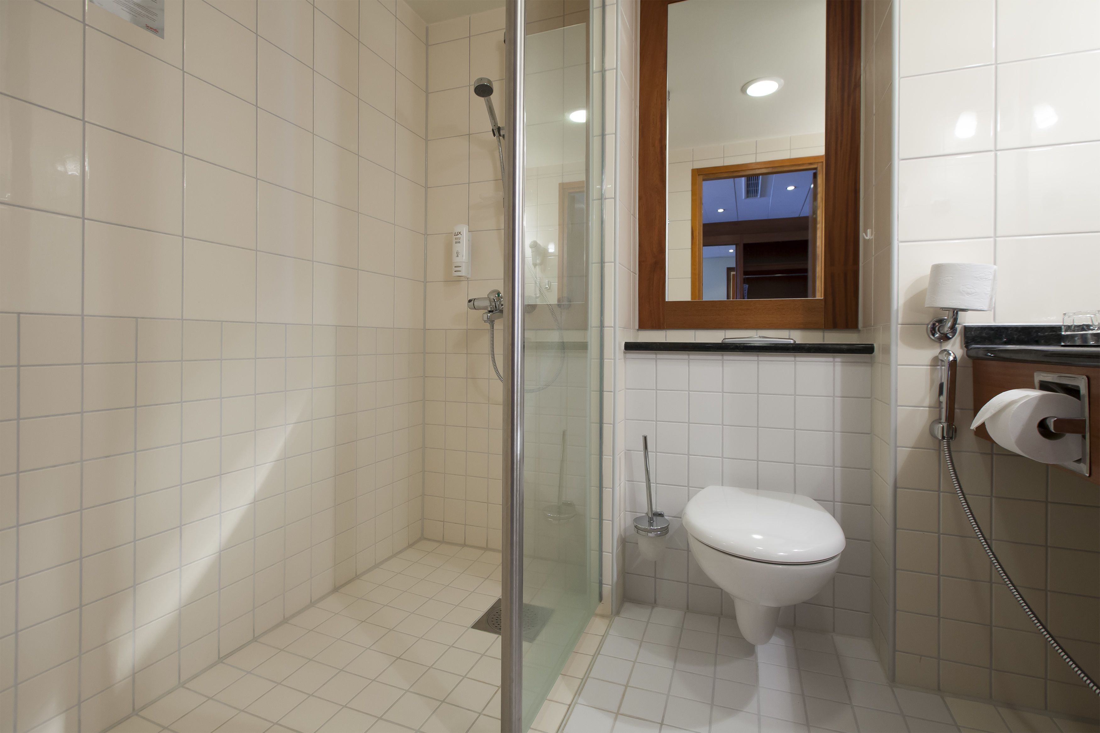 free toiletries, hair dryer, towels